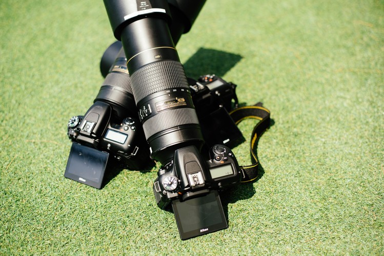尼康相机镜头与草坪