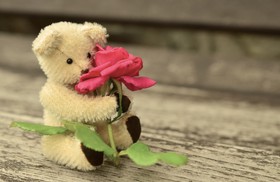 泰迪熊、泰迪熊，玫瑰，浪漫，浪漫