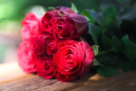 玫瑰，红的，一群人，anniversary盛开的浪漫