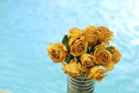 鲜花，黄色，玫瑰和花束