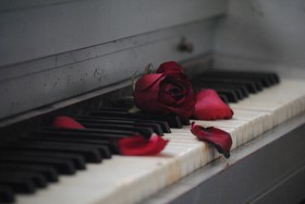 钢琴，玫瑰，红，花，爱情，浪漫，White