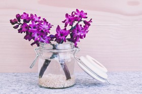 瓶上紫色花瓣花